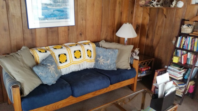 Den with navy sofa, beach library, and knotty-pine walls